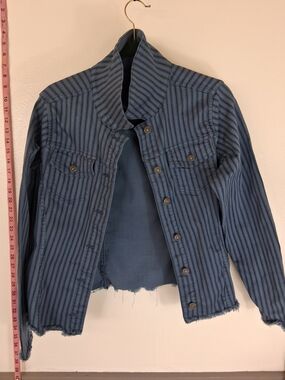 DG2 by Diane Gilman Blue Striped Jean Jacket